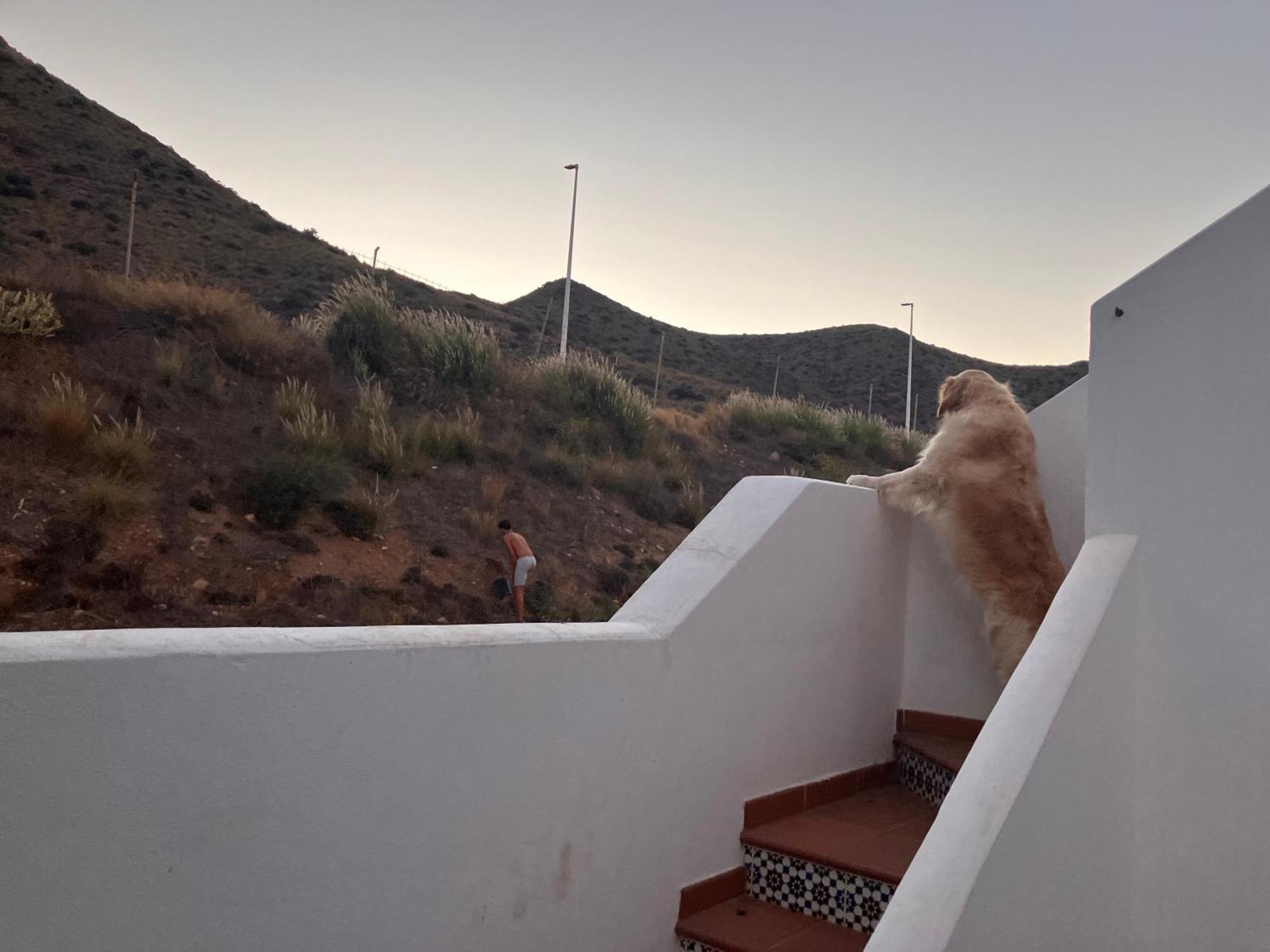 הוילה סן חוזה Agua 41 מראה חיצוני תמונה